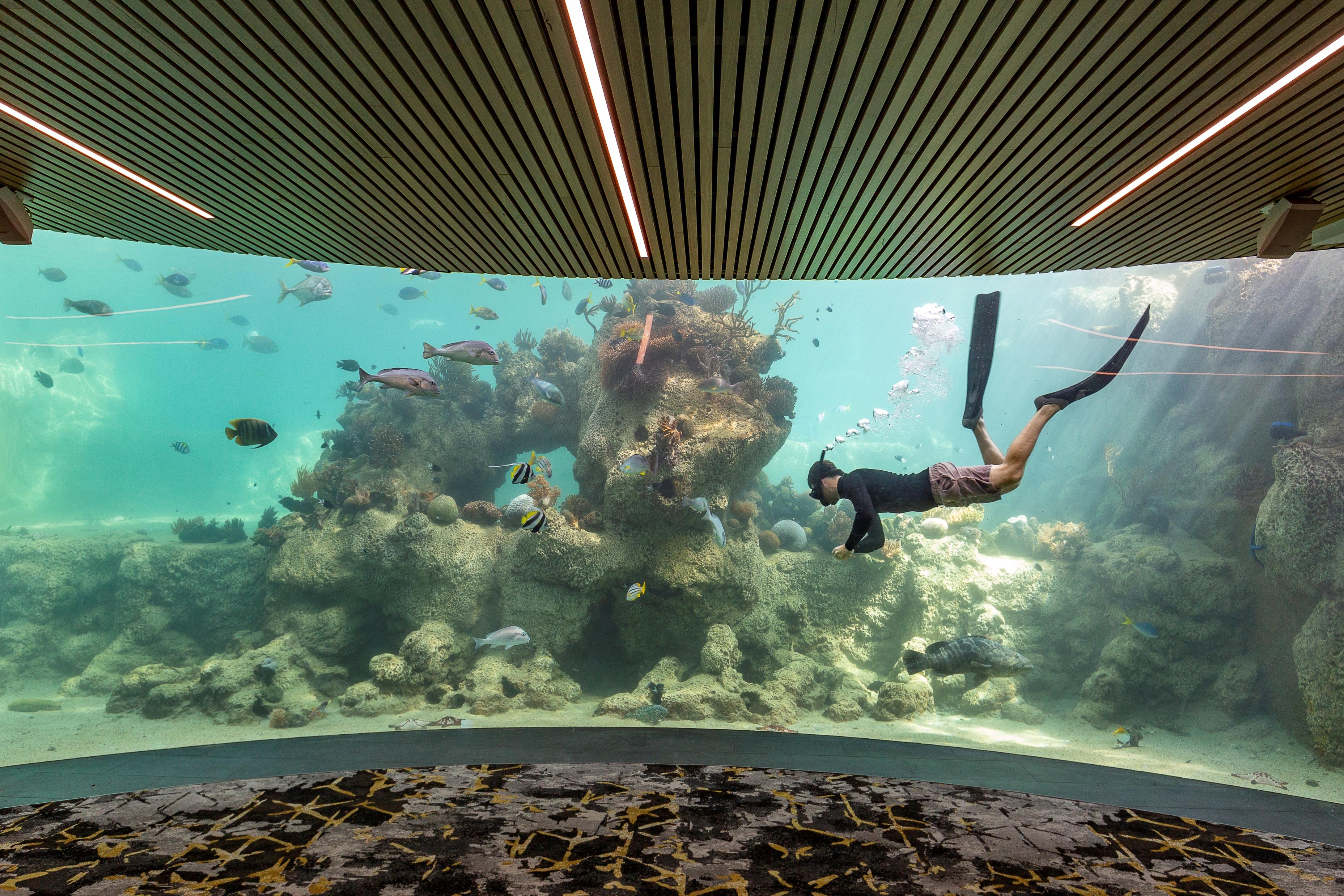 Daydream Island Resort Esterno foto